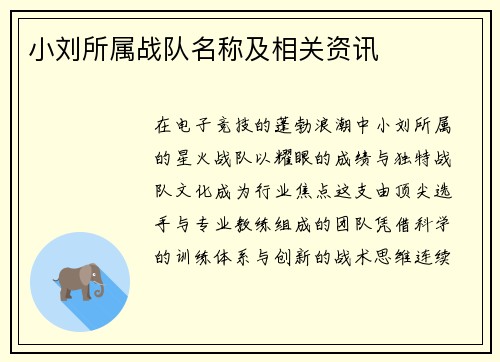 小刘所属战队名称及相关资讯