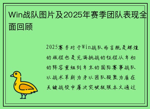 Win战队图片及2025年赛季团队表现全面回顾