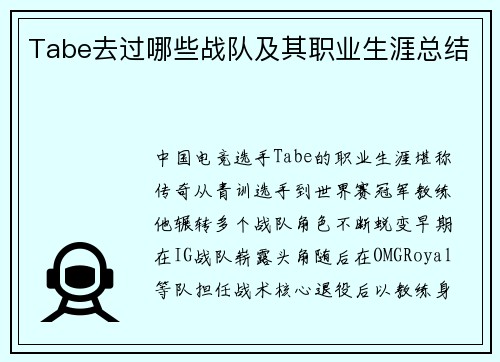 Tabe去过哪些战队及其职业生涯总结