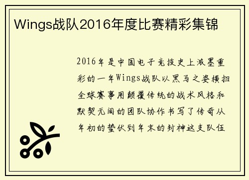 Wings战队2016年度比赛精彩集锦